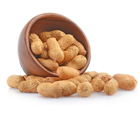 26 Years of Experience